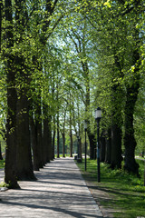Baum Park 