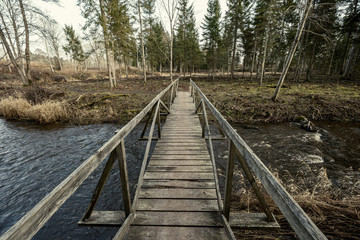 Fototapeta na wymiar bridge over the river in forest