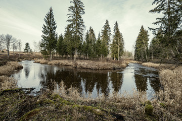 Obraz premium picturesque river in forest in autumn
