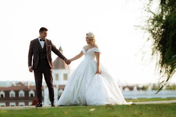 Amazing smiling wedding couple. Pretty bride and stylish groom.