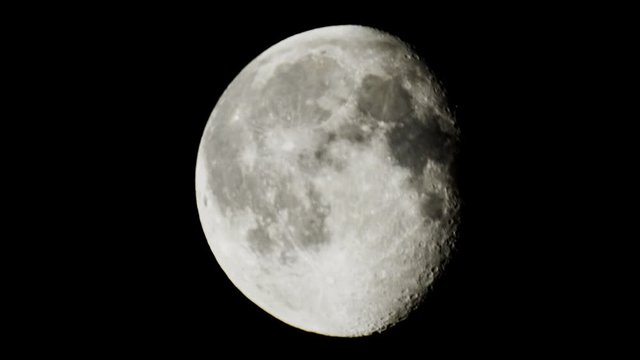 The bird crosses the shining disk of the moon