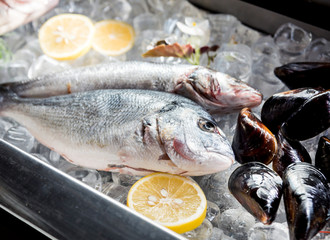 Frozen see food on ice. Shrimps, fish and seashells. 