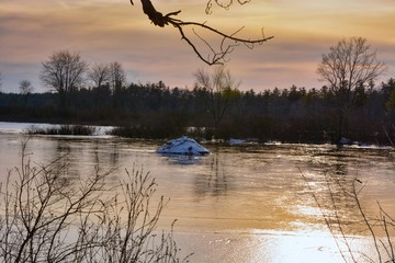 beaver dam on Massabesic lake © Deb Lashua