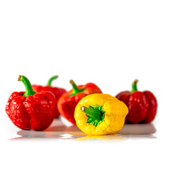 Textured multicolored peppers with green tails lie on a white background