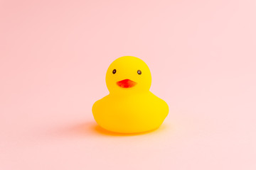 アヒルのゴム人形