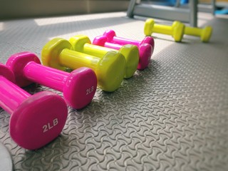 2 lb dumbbells in gym
