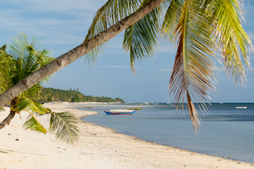 Siquijor island philippines white beach with balm trees coconut trees in the evening light, beautiful vacation swimming snorkeling relaxing	