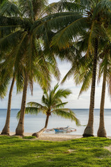 Siquijor island philippines white beach with balm trees coconut trees in the evening light, beautiful vacation swimming snorkeling relaxing	
