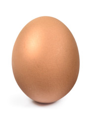 Single brown chicken egg isolated with clipping path