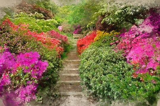 Digital watercolor painting of Beautiful vibrant landscape image of footpath border by Azalea flowers in Spring in England