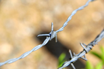 Wire