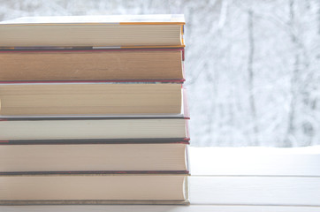 A lot of multi-colored books stand on a white wooden shelf against the backdrop of winter forest