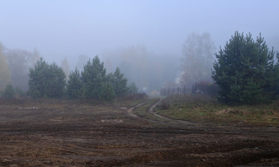 mud along the village road. rural landscape with forest and buildings.