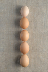 Seven fresh brown chicken eggs in row on a canvas background. Healthy good nutrition. Natural organic farm products.