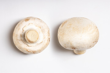 two white mushrooms champignons isolated on white background. mushroom have mild taste and firm texture, champignon mushrooms are used fro making gravies, sauces, cream soups, stir-fry recipes
