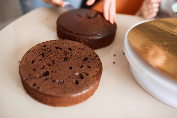 a part of brown cake. woman cutting sponge with a knife, secrets of cookery. ideal plane sponge cake for any dessert, sponge making cake perfect and yummy