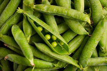 Closed and open pea pods. Green peas close up. Background from the pods of green peas. - obrazy, fototapety, plakaty