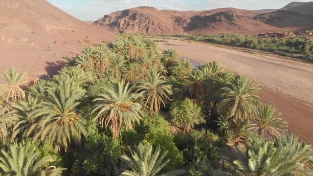 Oasis next to dust road in dry landscape of Africa, Morocco
