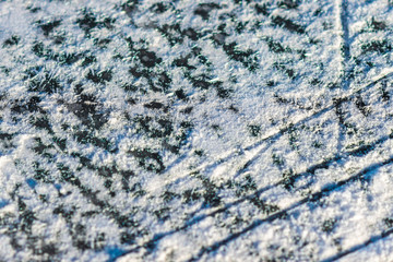 Abstract frozen water. Wintwer background