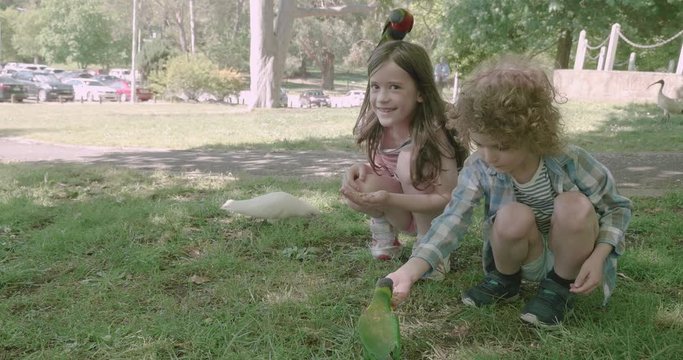 Children feeding birdseed to rainbow lorikeets, a type of parrot native to Australia, when a lorikeet lands on the girls head and then jumps on to her hand. Another lorikeet feeds from the boy's hand