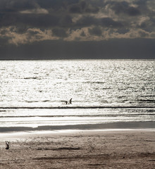 Fototapeta na wymiar Bathers in silhouette against a dramatic seashore backdrop with dark clouds.