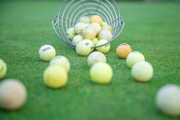 golf equipment on green golf course