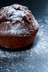 chocolate muffin with powdered sugar