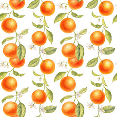 watercolor drawing branch of orange tree