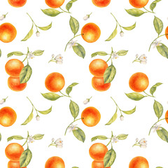 watercolor drawing branch of orange tree