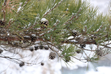 Nikkou Yunishikawa Winter 日光湯西川温泉の冬
