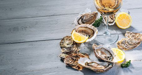 Fresh oysters with lemon ice and white wine. © Mykhailovskyi