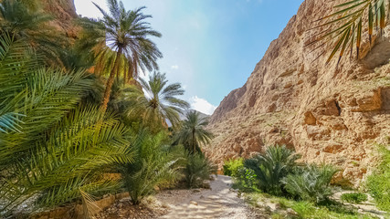 Fototapeta na wymiar Wadi Shab in the Sultanate of Oman