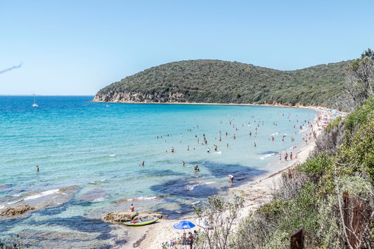 Beach with clear blue water of  Cala Violina