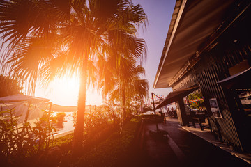 Swimming pool at exotic tropical resort. Exotic garden.