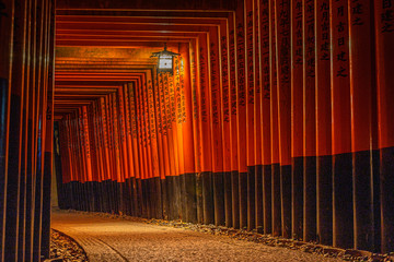Night view of the famous tunnel of torii gates at Fushimi Inari shrine, Kyoto, Japan