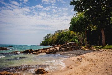 View of beautiful tropical beach with palms.