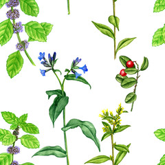 seamless pattern with wild plants and flowers