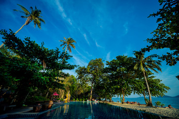Swimming pool at exotic tropical resort. Exotic garden.