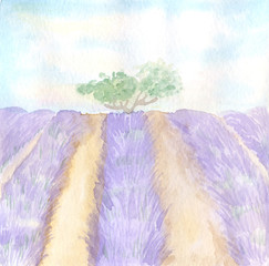Lavender field watercolor background. Perfect for the design of wedding invitations, cards, photo albums, web sites and other printed and souvenir products.