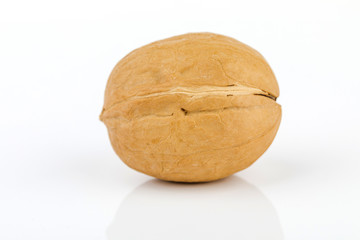 raw walnut isolated on white background