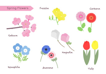 Spring Flower Illustration Set, Seven Flower Collection