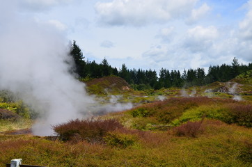 Vulkanischer Nationalpark Neuseeland