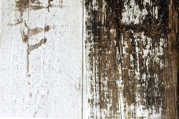 Background of grey white brown wooden boards, vintage wooden grunge planks. Old doors of wooden boards 