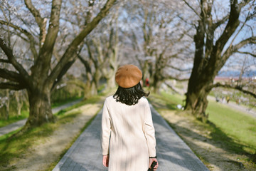 Asian woman traveler sightseeing sakura cherry blossoms in spring season, Walking through romantic pink flower blossoms tunnel.