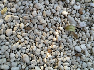 pebbles on the beach