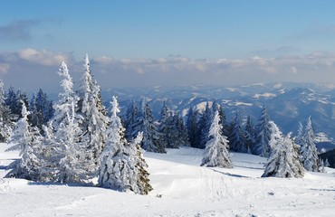 Fototapeta na wymiar mountain landscape in winter on snow