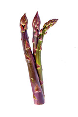 Purple and green asparagus, isolated