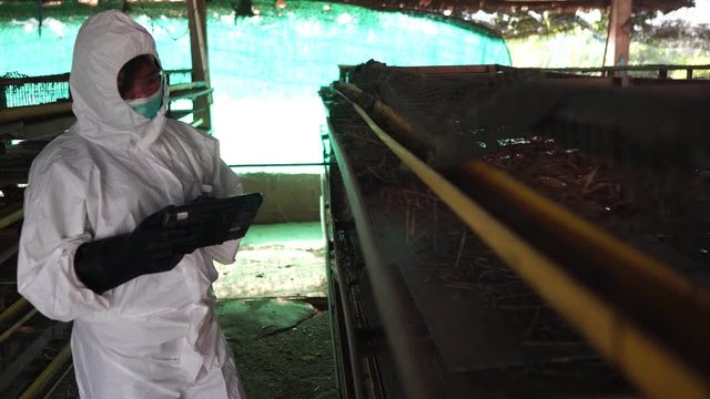 Scientists are monitoring chemical contamination in the form of chicken waste footage 4K