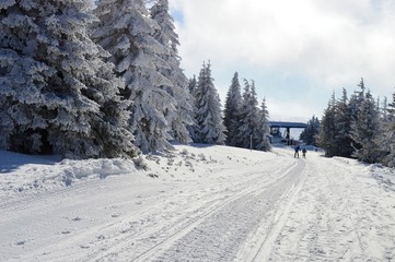 pedestrians on the ski slope