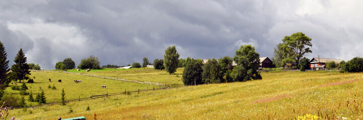 Obraz premium landscape with field and blue sky